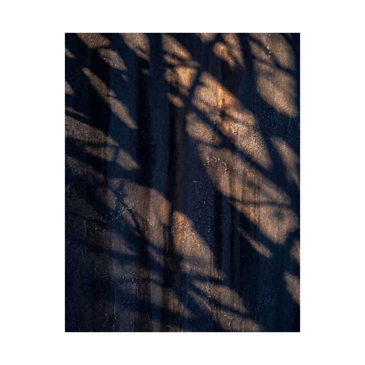 Shadow Play Shadow Zen Wall Art Print | Sophisticated Dark Japandi Art