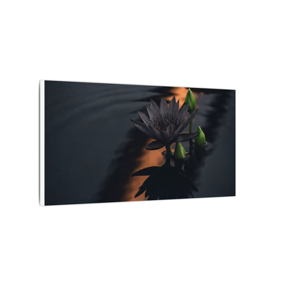 Seijaku Lotus Flower Canvas Art - Dark Japandi Shadow Zen