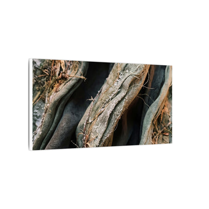 Silk Drape Winter Canvas Art | Japandi Cozy Design