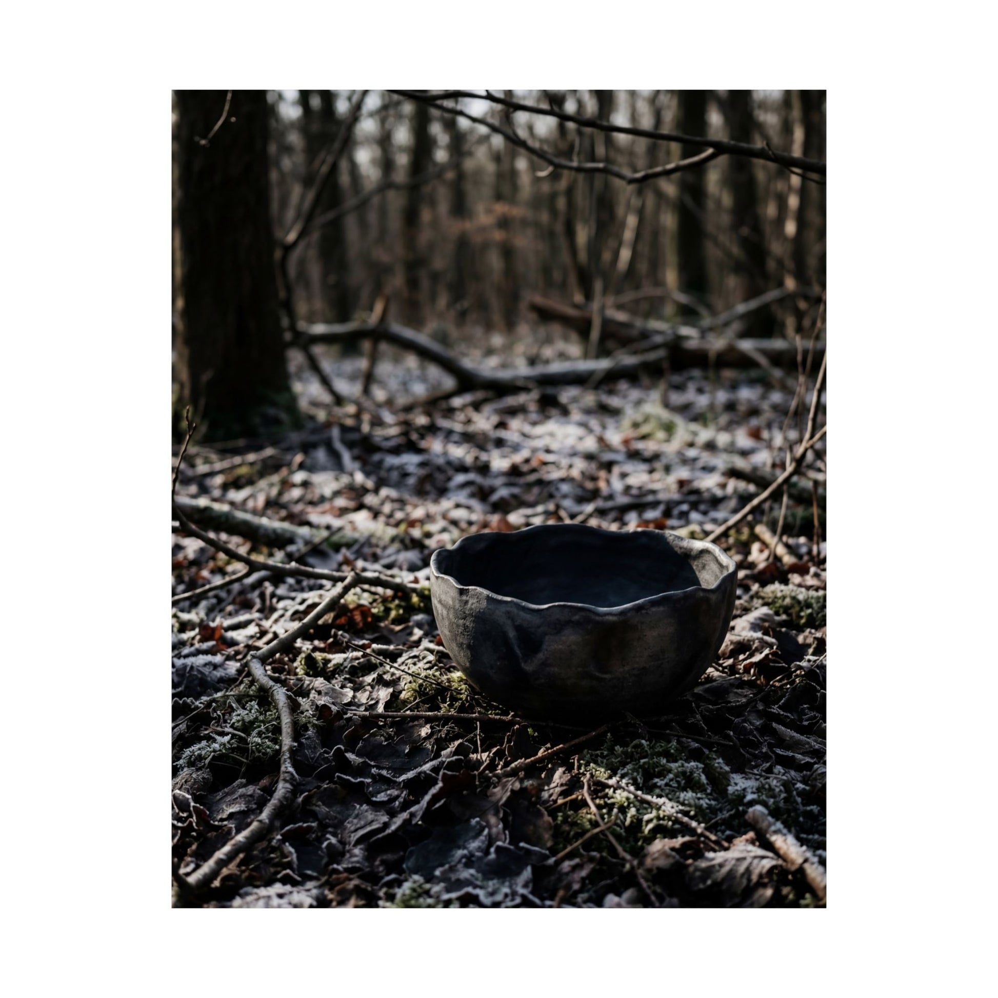 Winter Ceramic Bowl Shadow Zen Wall Art Print | Luxurious Decor Art Print