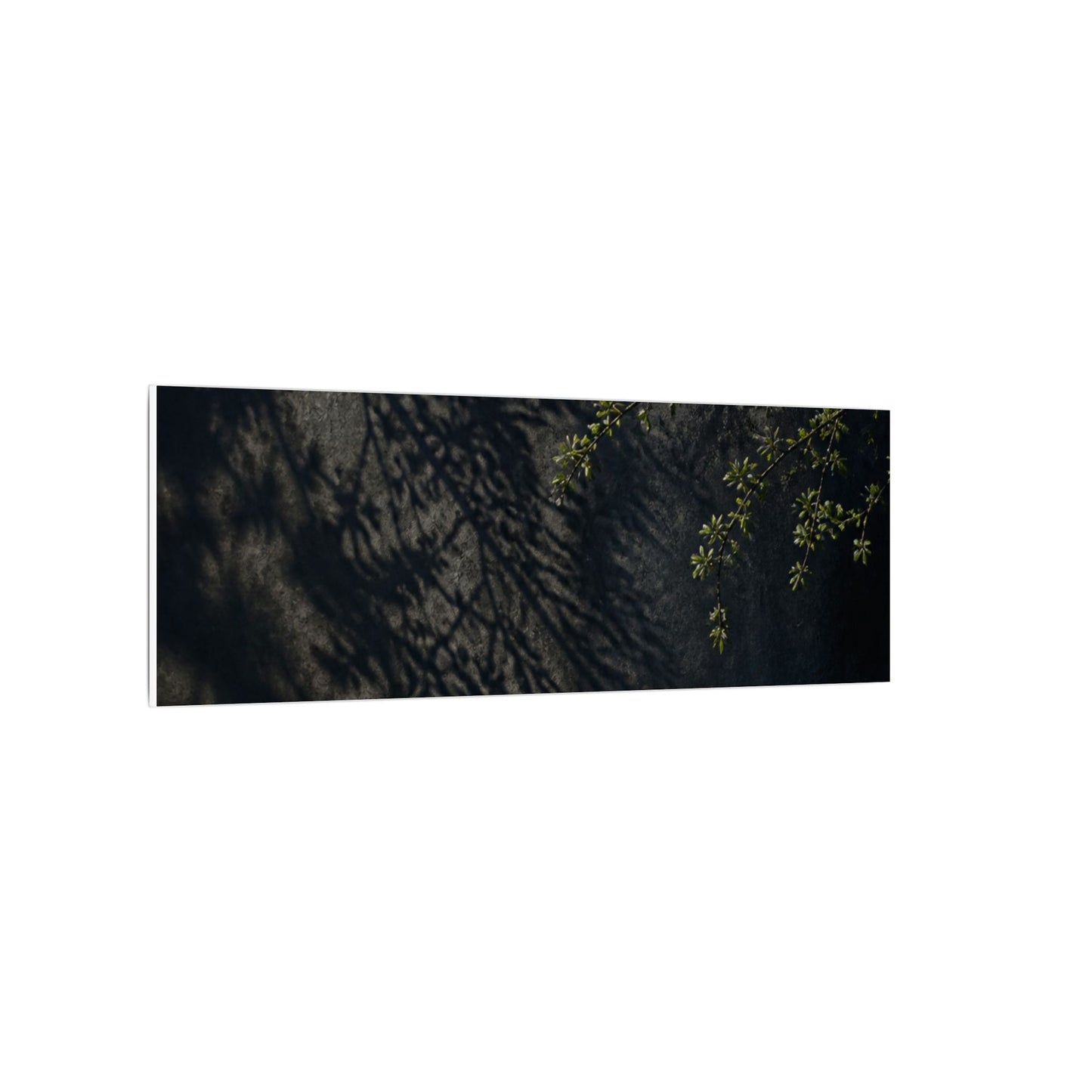 Overcast Shadow Play Canvas Art - Dark Japandi Seijaku