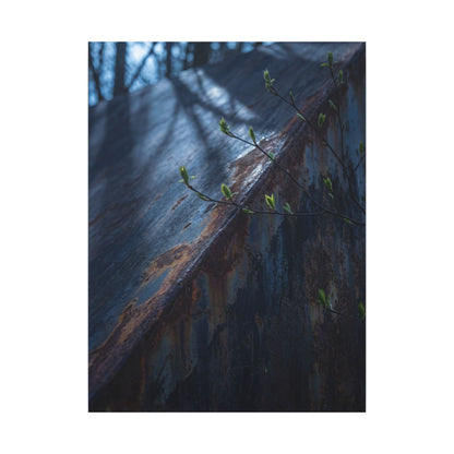 Rust Patina Canvas Art | Spring Dark Japandi Shadow Zen Art