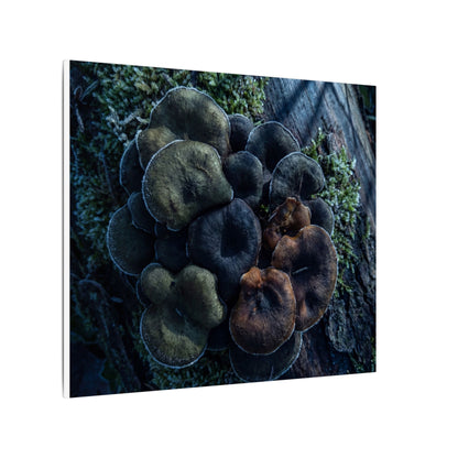 Wild Mushrooms Moody Minimal Canvas Art | Moody Dark Japandi Art