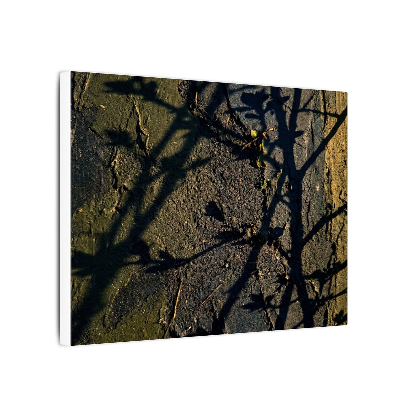 Kanso Shadow Play Canvas Art - Dark Japandi Dark Texture