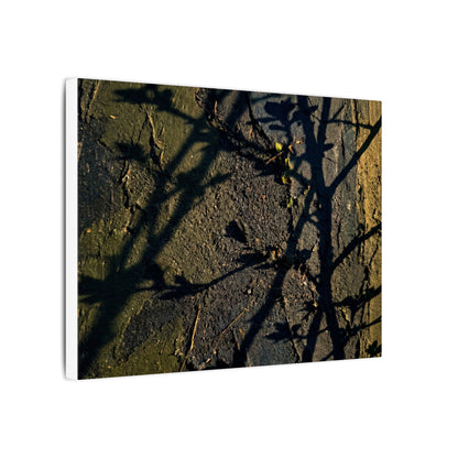Kanso Shadow Play Canvas Art - Dark Japandi Dark Texture