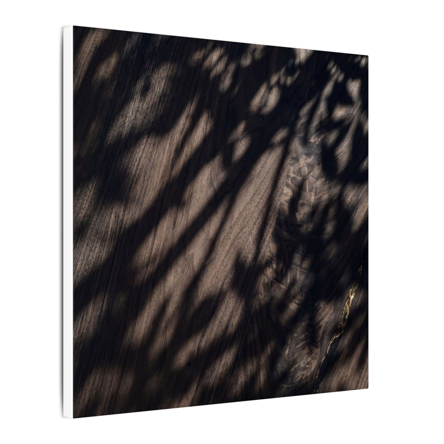 Shadow Play Summer Canvas Art | Dark Japandi Moody Design