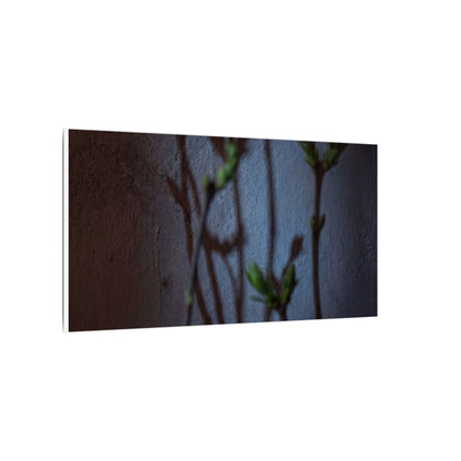 Shadow Play Spring Canvas Art | Dark Japandi Sophisticated Design