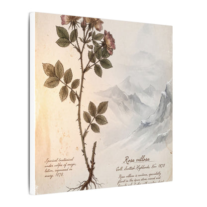 Winter Mountain Mist Herbarium Canvas Art | Earthy Decor
