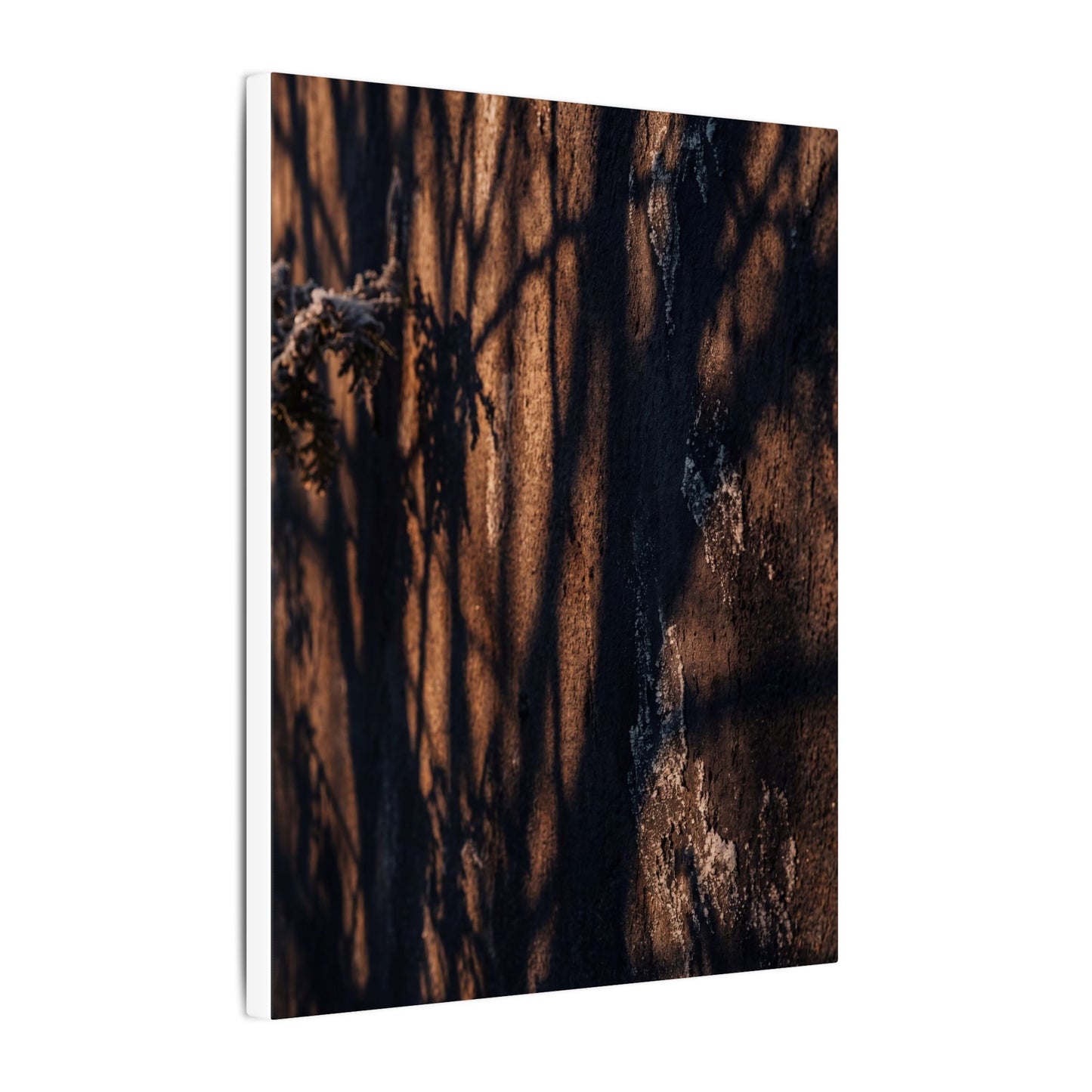 Golden Hour Shadow Play Canvas Art - Dark Japandi Fukinsei