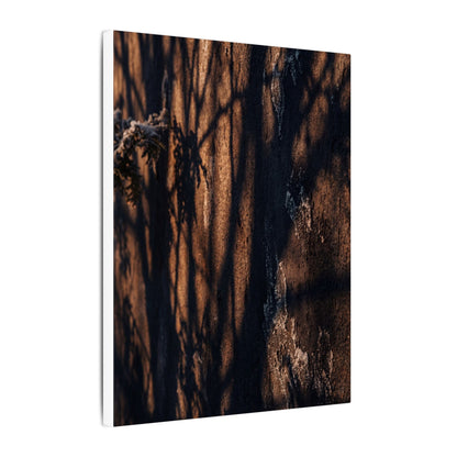 Golden Hour Shadow Play Canvas Art - Dark Japandi Fukinsei