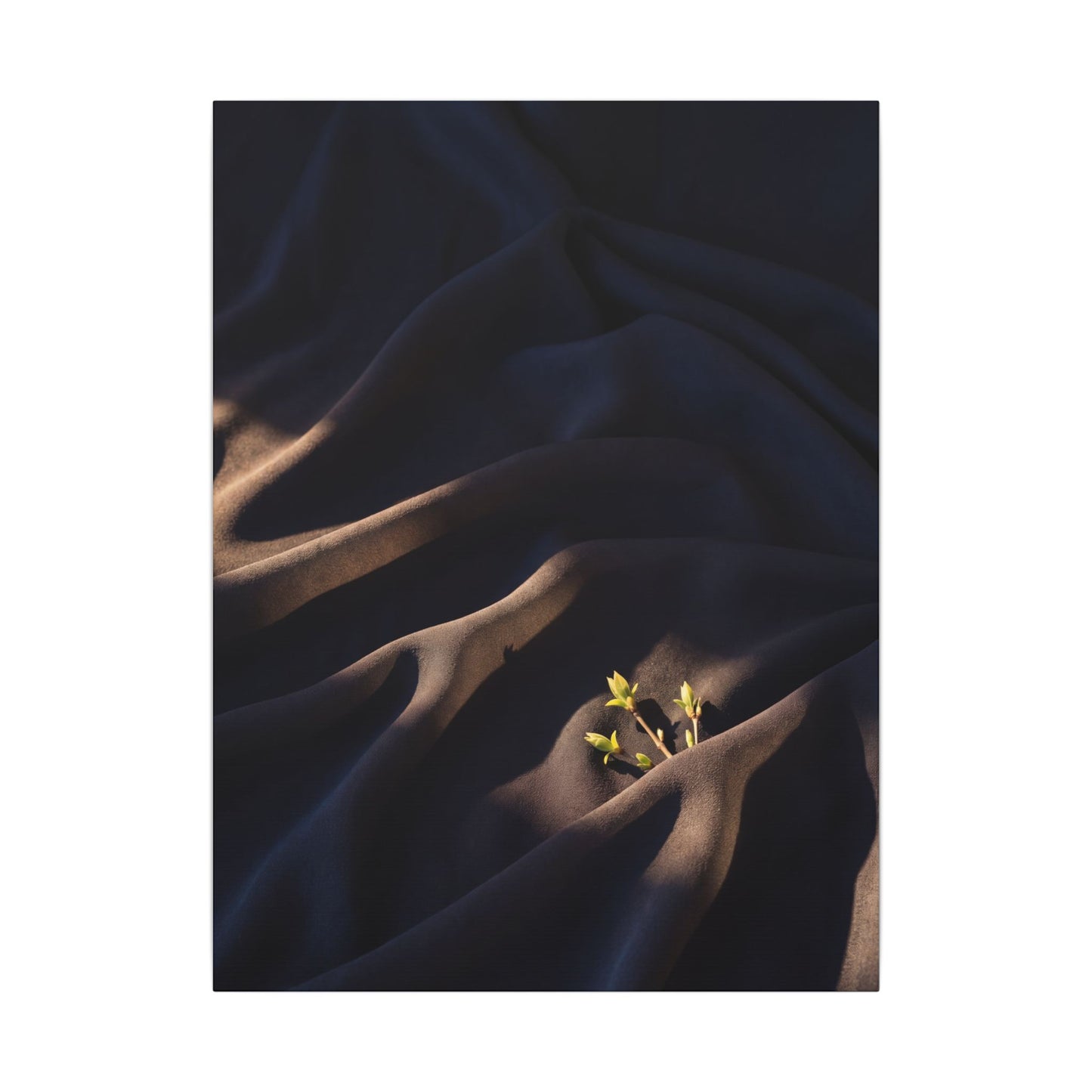 Silk Drape Shadow Zen Canvas Art | Luxurious Dark Japandi Art
