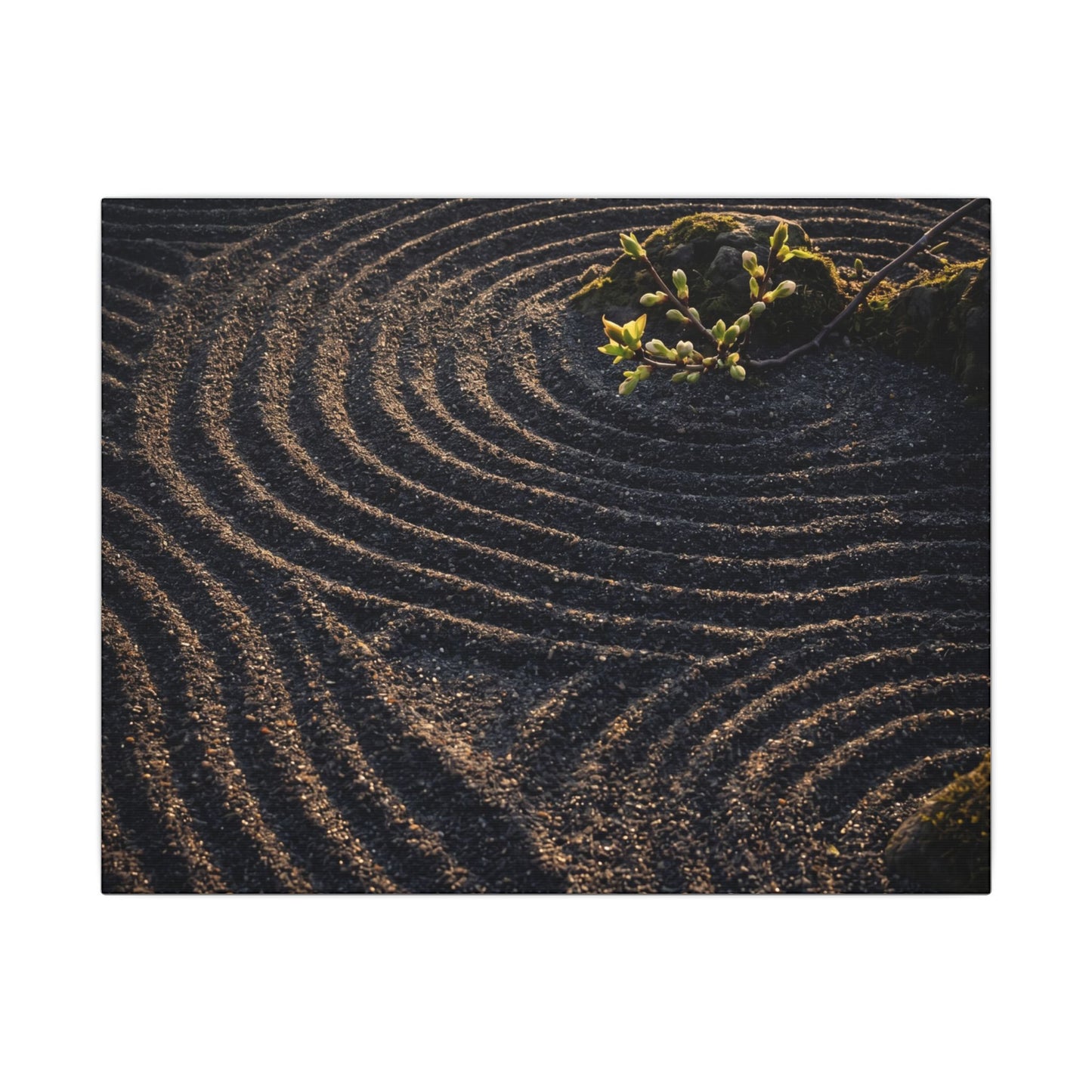 Spring Rock Garden Shadow Zen Canvas Art | Atmospheric Decor