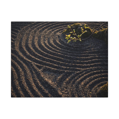 Spring Rock Garden Shadow Zen Canvas Art | Atmospheric Decor