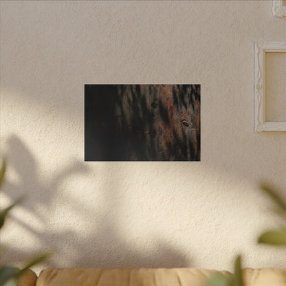 Rust Patina Shadow Zen Canvas Art | Luxurious Dark Japandi Art
