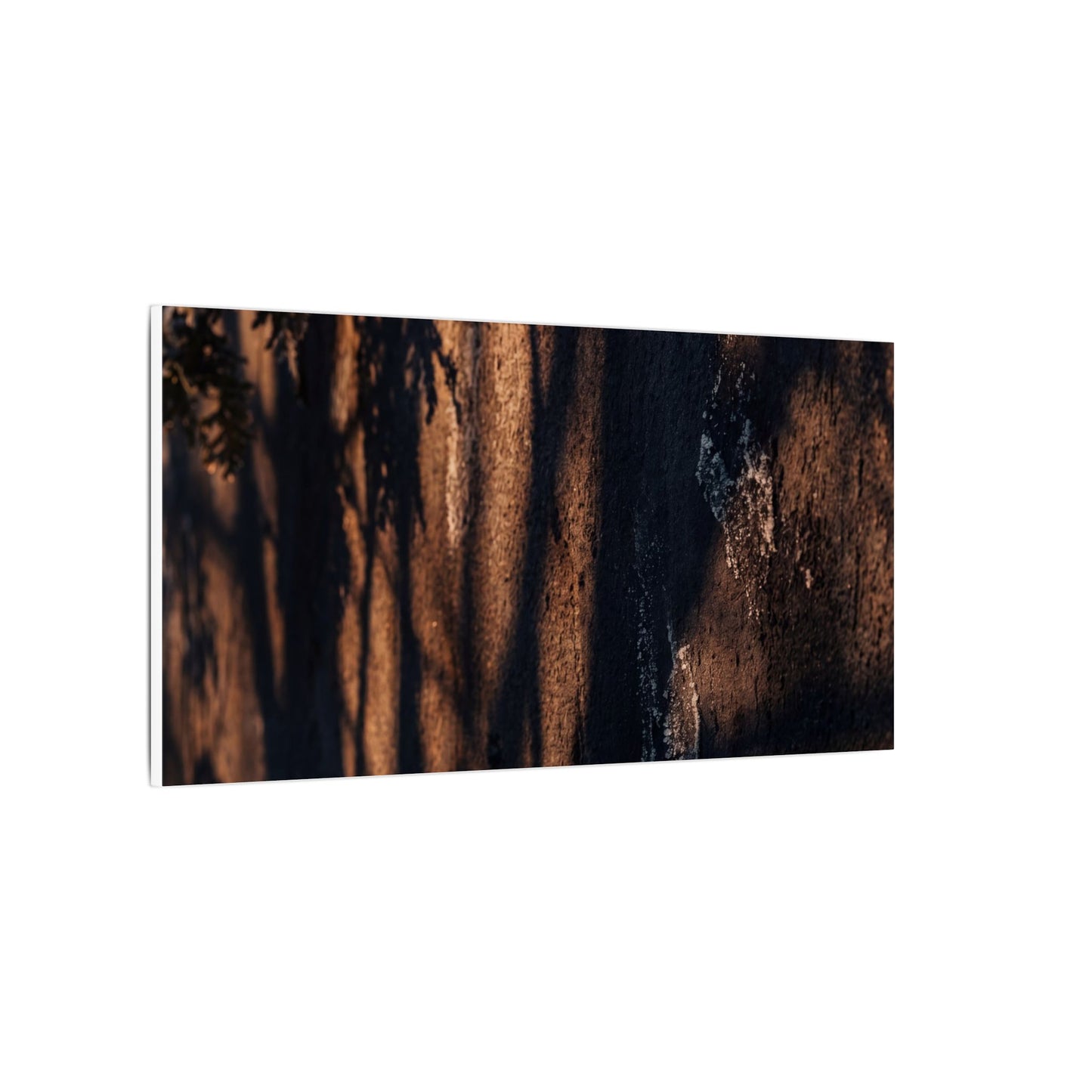 Golden Hour Shadow Play Canvas Art - Dark Japandi Fukinsei