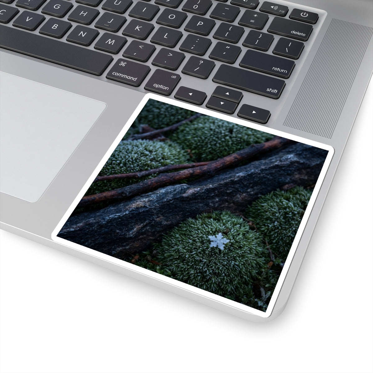 Luxurious Moss Close Up Sticker - Moody Minimal Dark Japandi Art Print