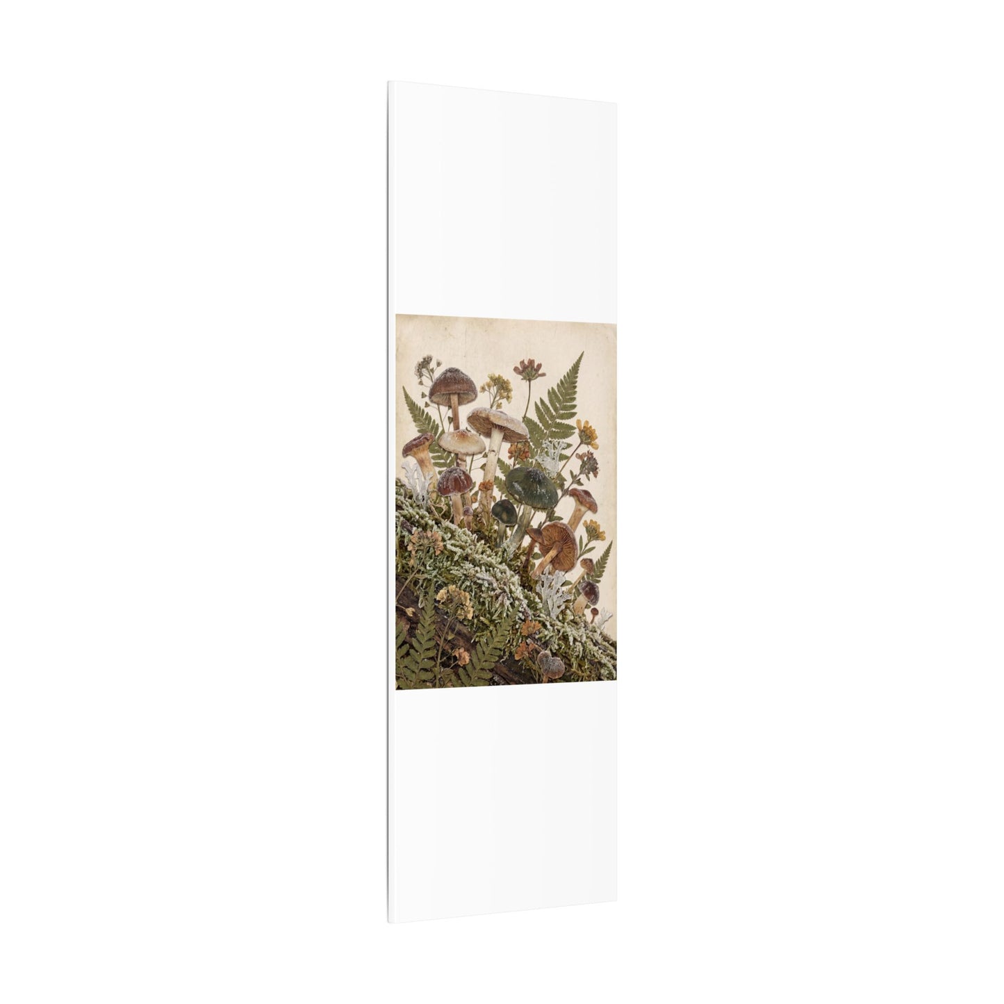 Winter Wild Mushrooms Herbarium Canvas Art | Enchanting Decor