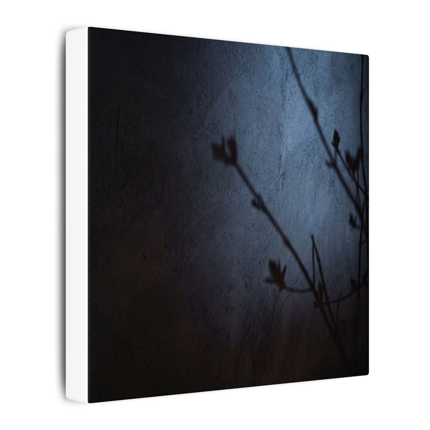 Shadow Play Canvas Art | Spring Dark Japandi Moody Minimal Art