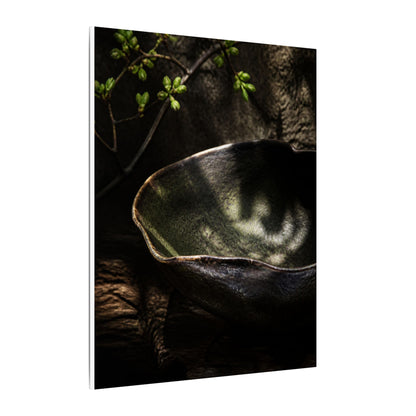 Sophisticated Ceramic Bowl Canvas Art - Dark Texture Dark Japandi