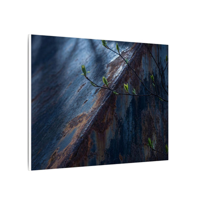 Rust Patina Canvas Art | Spring Dark Japandi Shadow Zen Art
