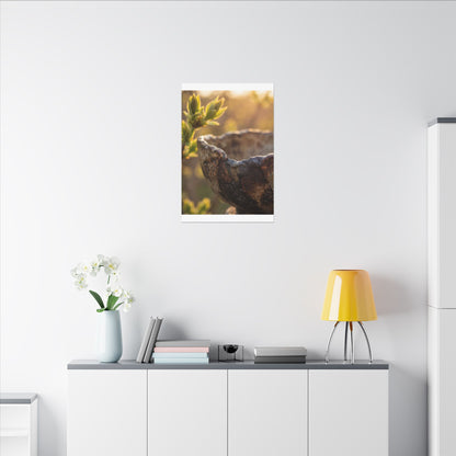 Golden Hour Ceramic Bowl Canvas Art - Dark Japandi Ma