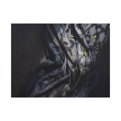 Seijaku Silk Drape Canvas Art - Dark Japandi Dark Texture