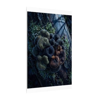 Wild Mushrooms Moody Minimal Canvas Art | Moody Dark Japandi Art