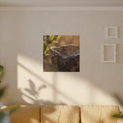 Golden Hour Ceramic Bowl Canvas Art - Dark Japandi Ma