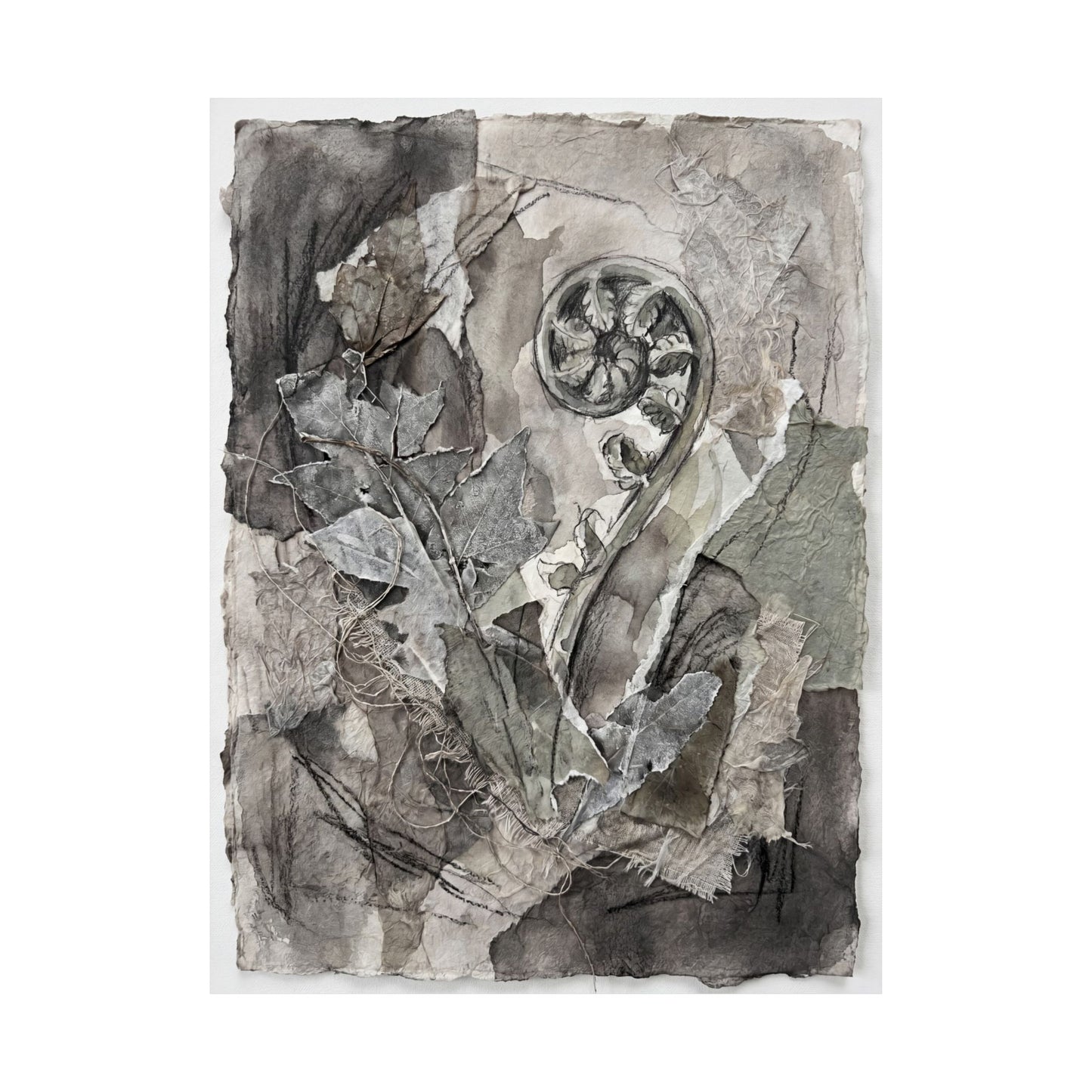 Mono No Aware Fern Unfurling Wall Art Print - Japandi Texture
