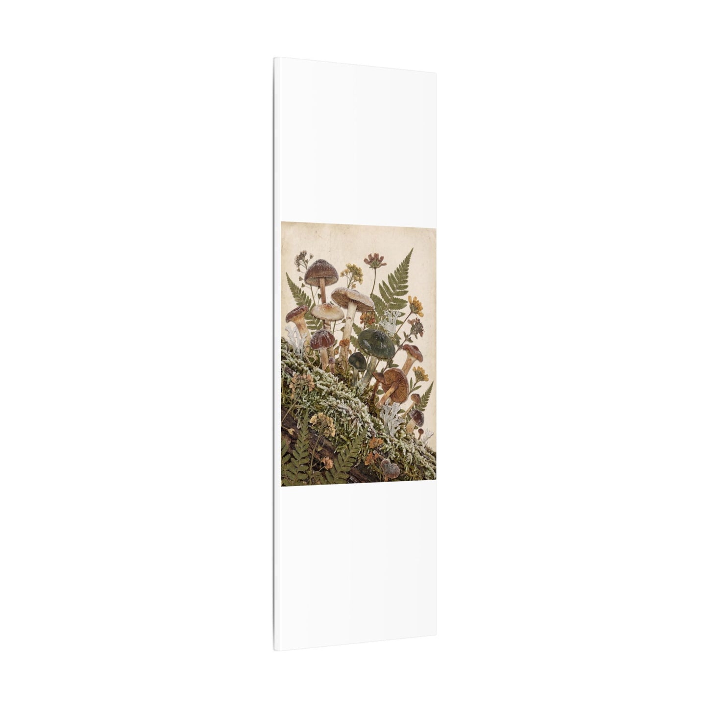 Winter Wild Mushrooms Herbarium Canvas Art | Enchanting Decor
