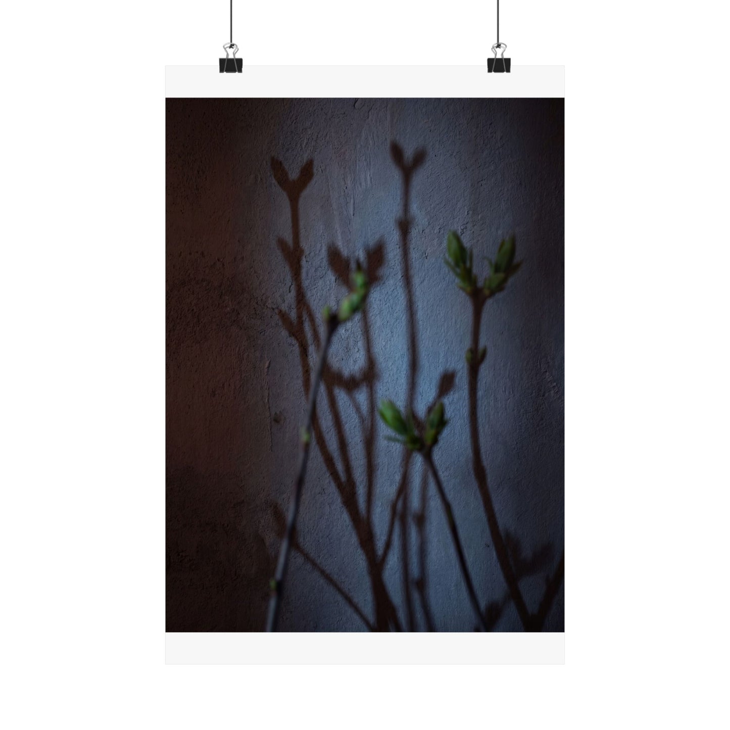 Spring Shadow Play Shadow Zen Wall Art Print | Moody Decor