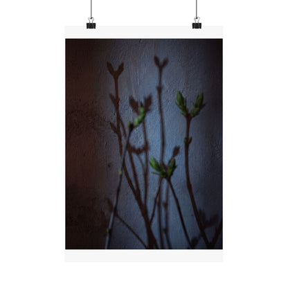 Spring Shadow Play Shadow Zen Wall Art Print | Moody Decor