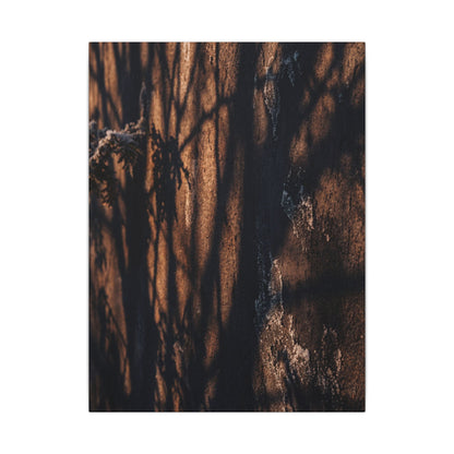Golden Hour Shadow Play Canvas Art - Dark Japandi Fukinsei