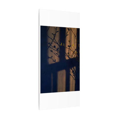 Shadow Play Canvas Art | Spring Dark Japandi Shadow Zen Art