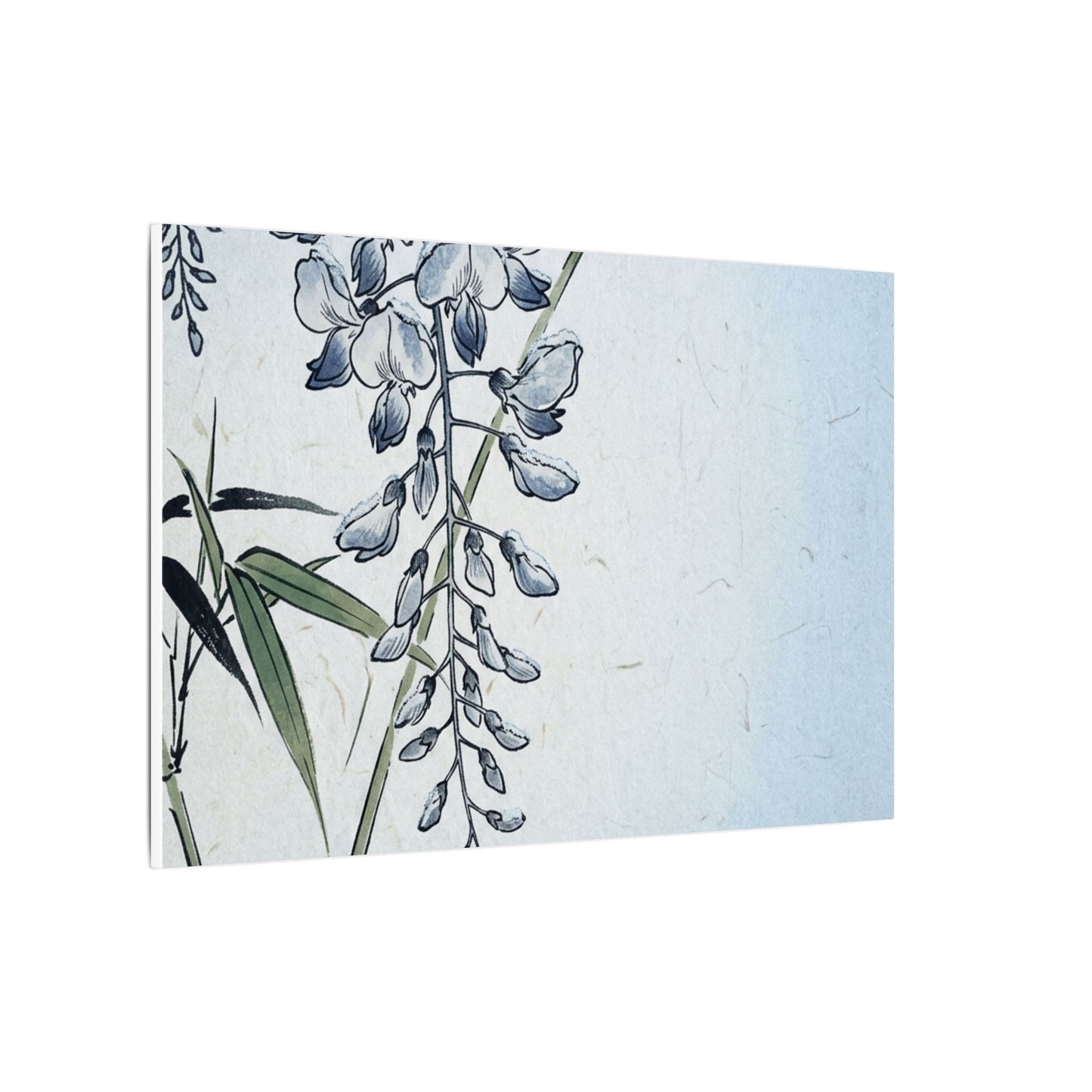 Zen Wisteria in Moonlight | Ukiyo E Inspired Canvas Art