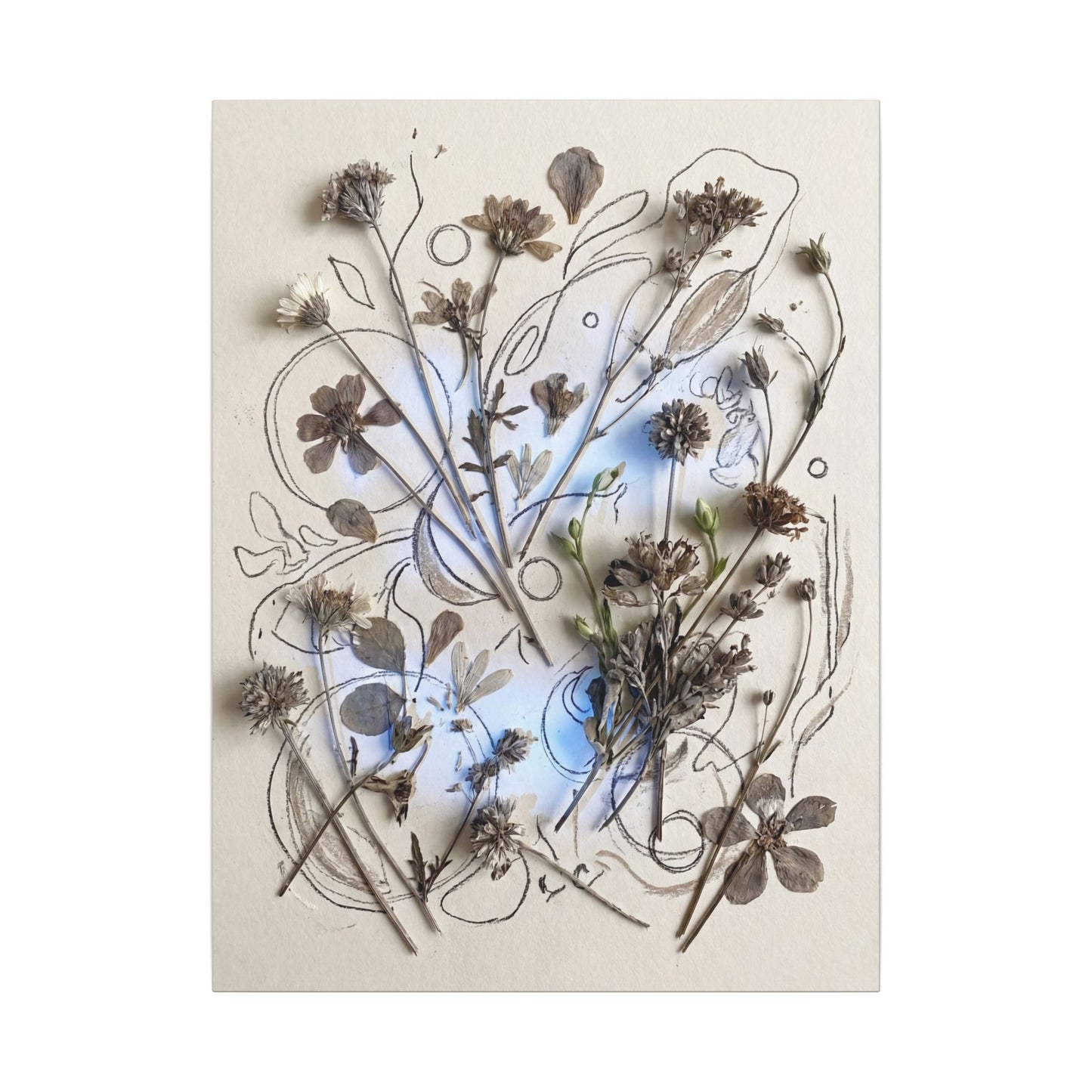 Dried Flowers Minimal Line Canvas Art | Elegant Japandi Art
