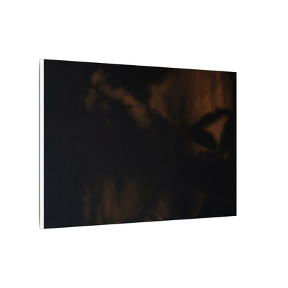 Shadow Play Summer Canvas Art | Dark Japandi Sophisticated Design