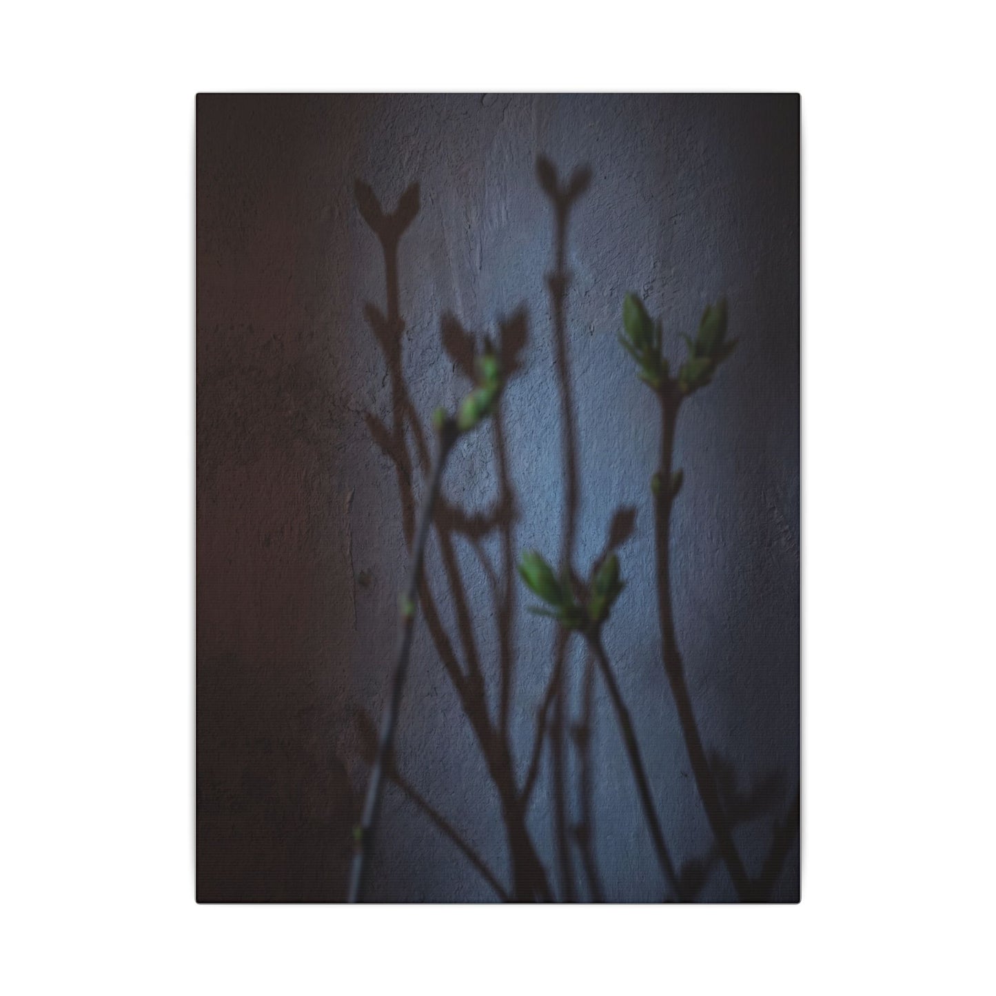Shadow Play Spring Canvas Art | Dark Japandi Sophisticated Design