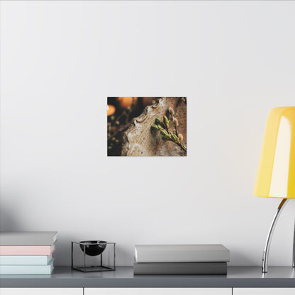 Overcast Ceramic Bowl Canvas Art - Japandi Ma