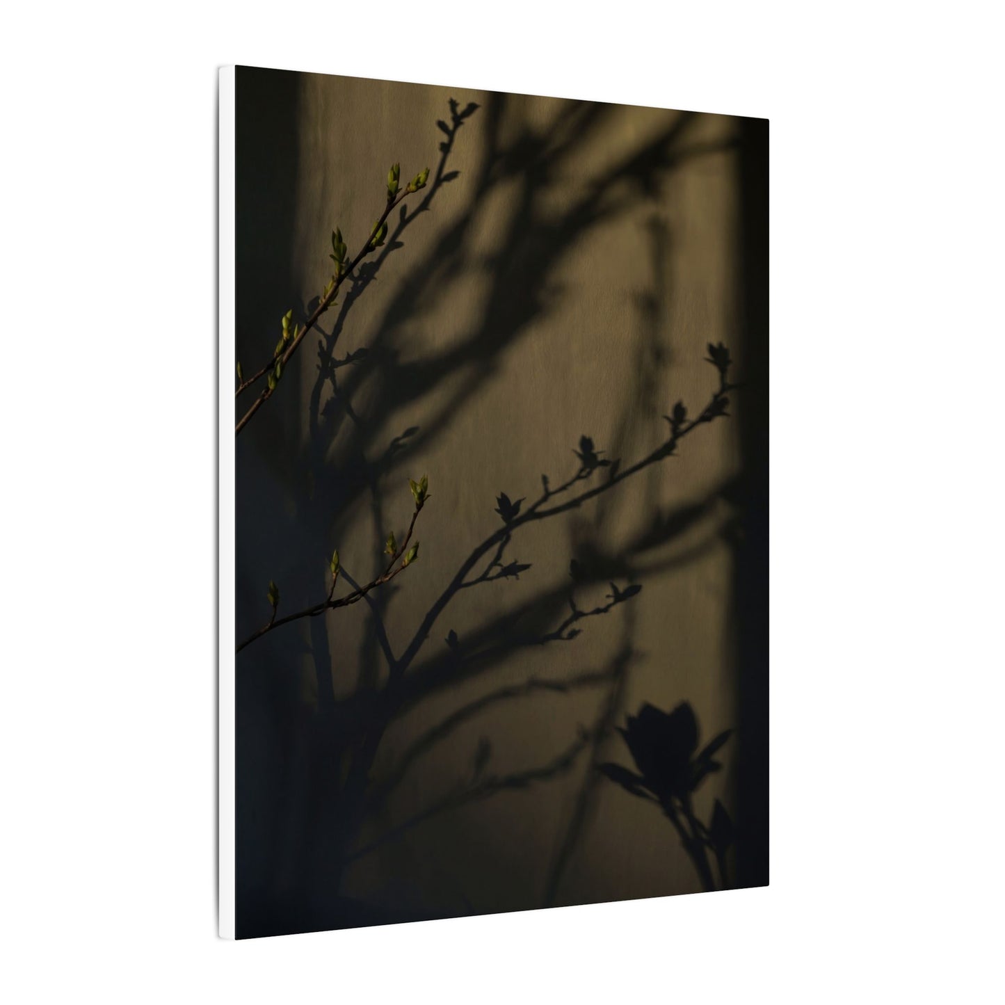 Seijaku Shadow Play Canvas Art - Dark Japandi Charcoal Ink