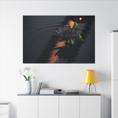 Seijaku Lotus Flower Canvas Art - Dark Japandi Shadow Zen