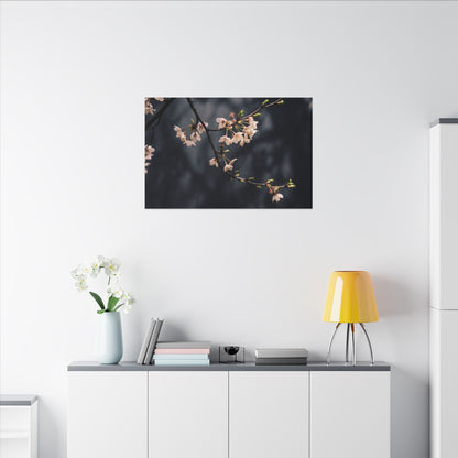 Cherry Blossom Moody Minimal Canvas Art | Bold Dark Japandi Art