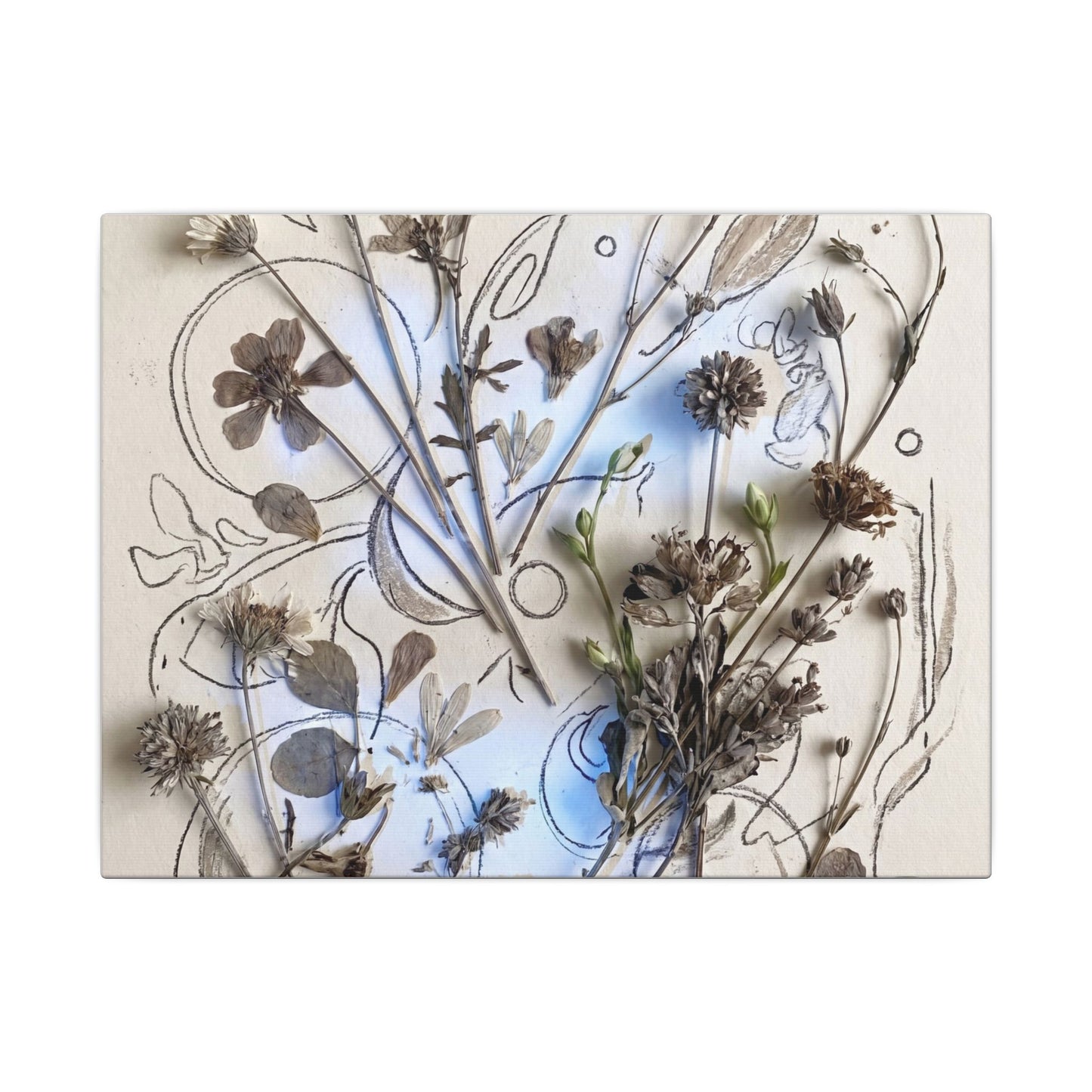 Dried Flowers Minimal Line Canvas Art | Elegant Japandi Art Art Print