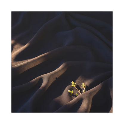 Silk Drape Shadow Zen Canvas Art | Luxurious Dark Japandi Art