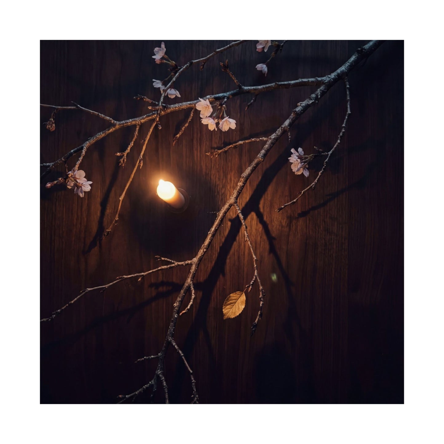 Sophisticated Cherry Blossom Wall Art Print - Moody Minimal Dark Japandi