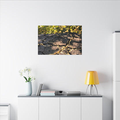 Shibui Cracked Earth Canvas Art - Kintsugi Gold Repair