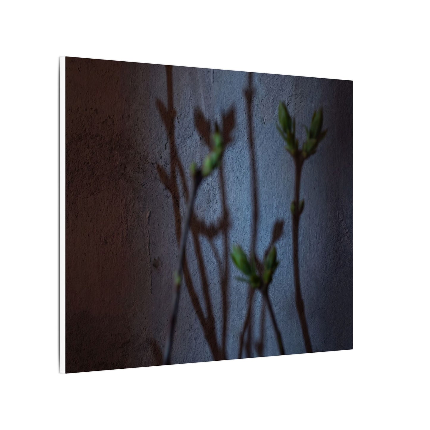 Shadow Play Spring Canvas Art | Dark Japandi Sophisticated Design