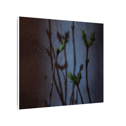 Shadow Play Spring Canvas Art | Dark Japandi Sophisticated Design