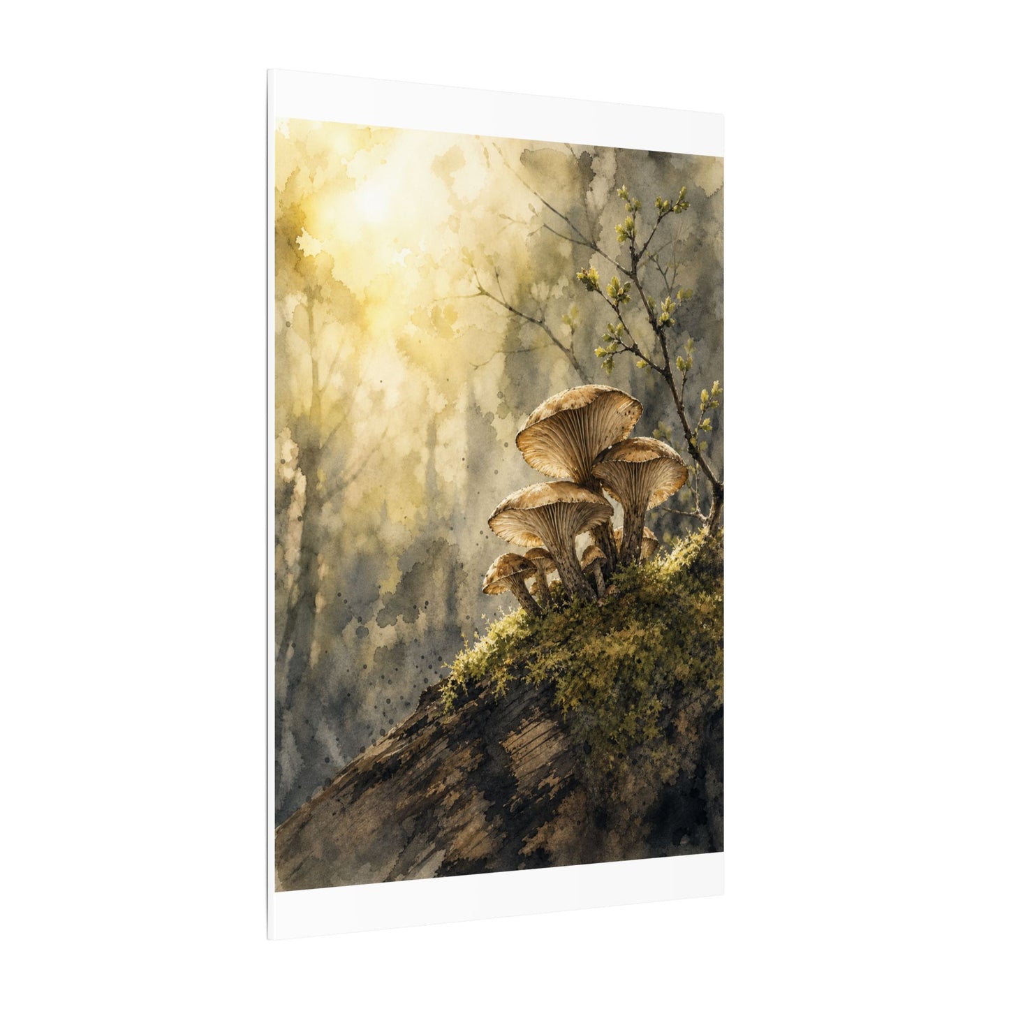 Wild Mushrooms Canvas Art | Spring Japandi Watercolor Art