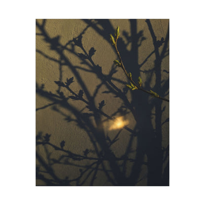 Bold Shadow Play Canvas Art - Moody Minimal Dark Japandi